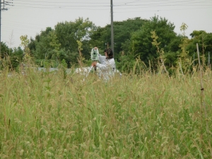 CIMG2195 (2500x1875) (2000x1500).jpg